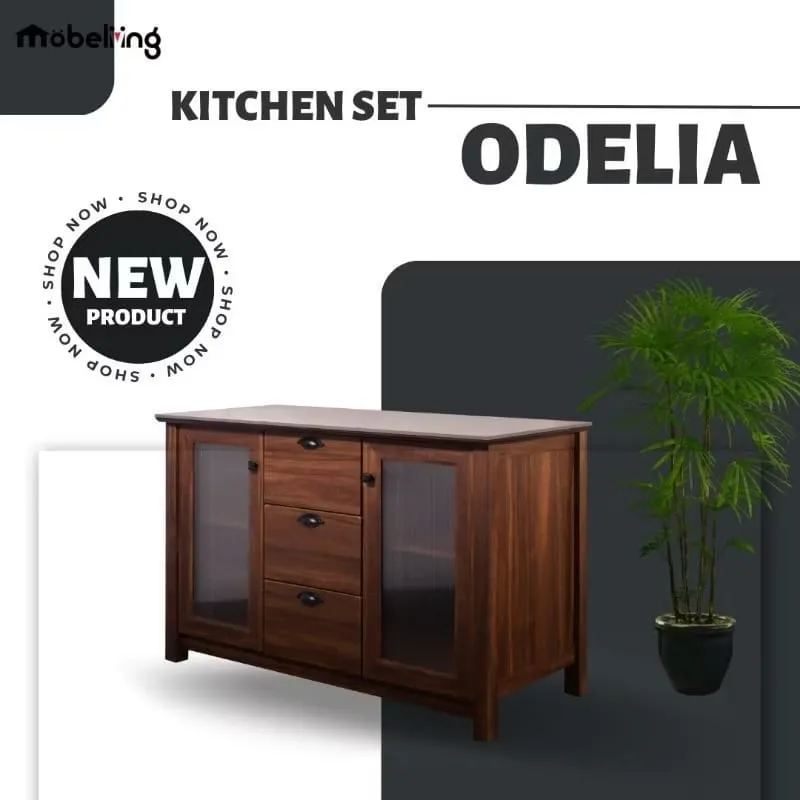 KITCHEN SET BAWAH 2 PINTU 3 LACI ODELIA BROWN TEAK